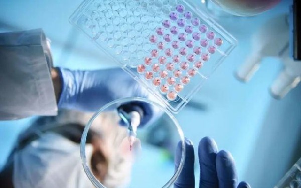人工受孕需要多少钱？试管婴儿成功率高吗？