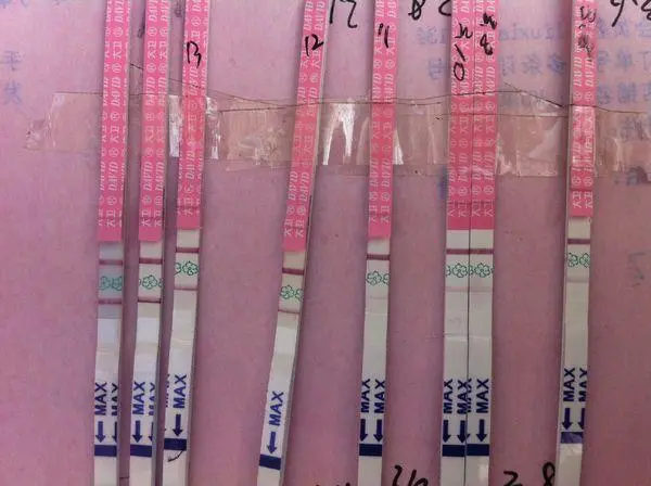 排卵期试纸怎么看？排卵期试纸正确使用方法