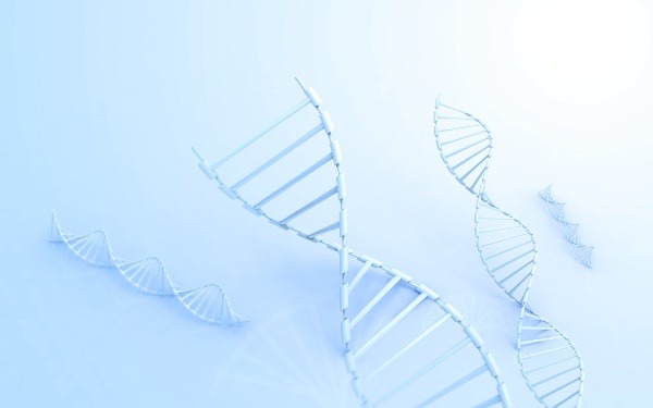北医三院养囊的成功率高吗？北医三院养囊的人群？