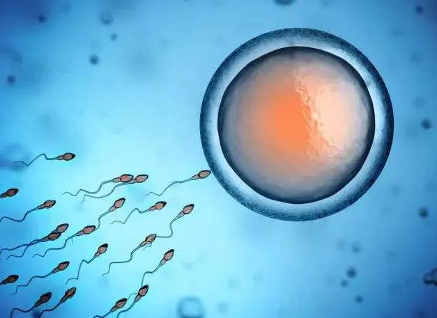 国家精子库买精子需要什么条件？如何才能买卖精子？