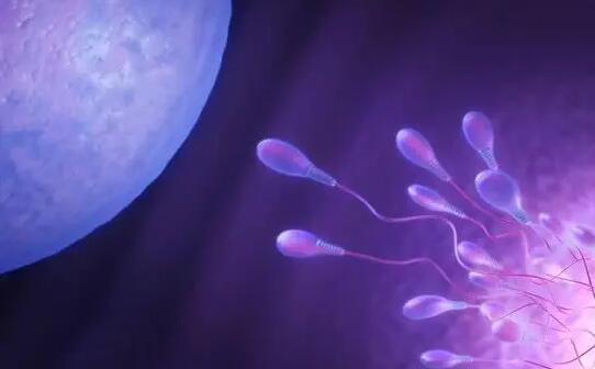 男男可以试管生孩子吗？生孩子要多少钱？