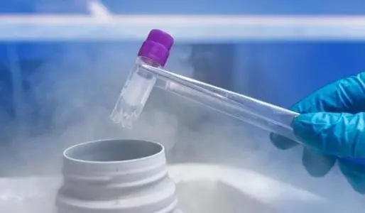 试管冻卵后怎么怀孕？做试管婴儿进行冻卵之后如何解冻受孕？
