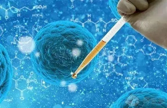 俄罗斯做试管婴儿价格指南！俄罗斯试管怎么取卵？哪种情况不能做试管婴儿？
